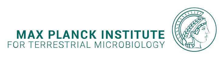 MPI TM